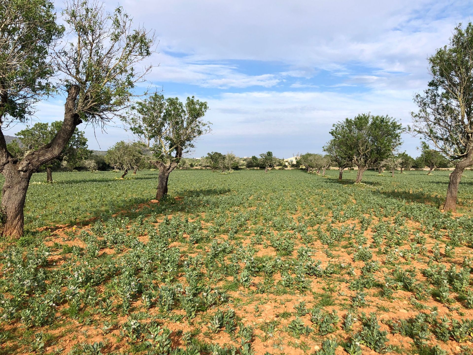 Santanyí