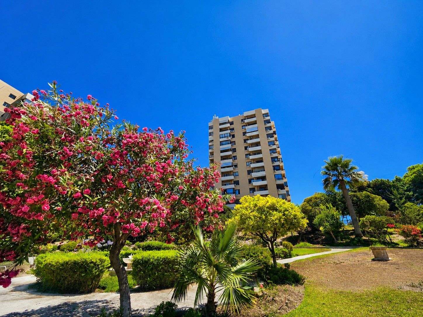 Nueva Andalucia, Marbella